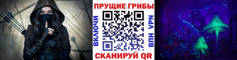 Псилоцибиновые грибы Psilocybine cubensis Озёрск